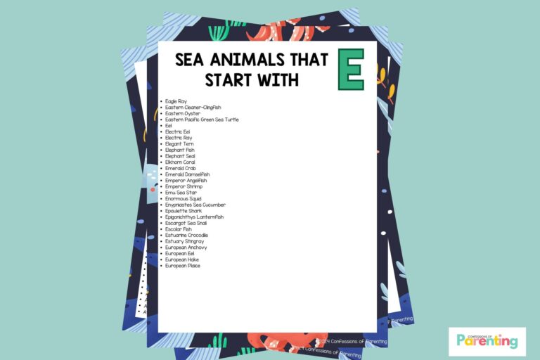 featured imaged of Sea Animals That Start With E in teal background