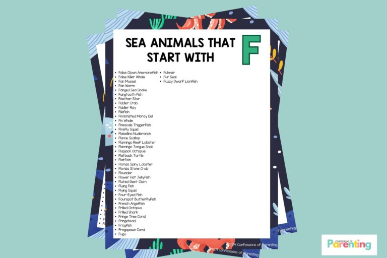 featured image of Sea Animals That Start With F in teal background