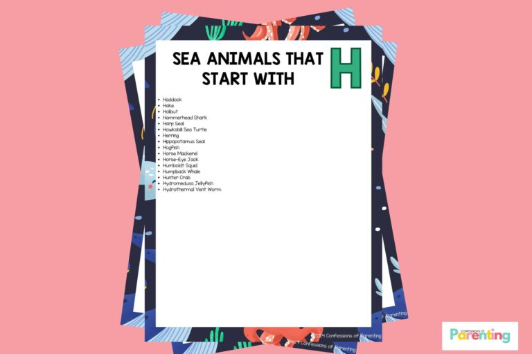 feature image of Sea Animals That Start With H in pink background