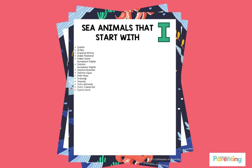feature image of Sea Animals That Start With I in pink background