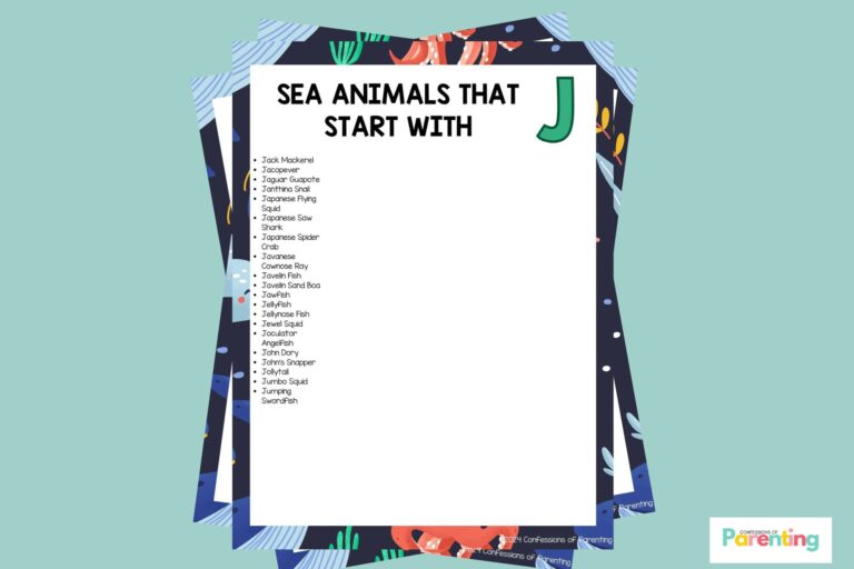 feature image of Sea Animals That Start With J in teal background