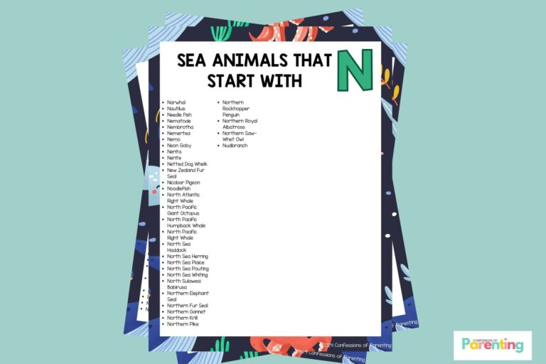 feature image of 33 Sea Animals That Start With N in teal background