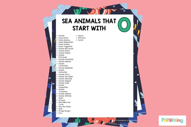 feature image of 33 Sea Animals That Start With O in pink background