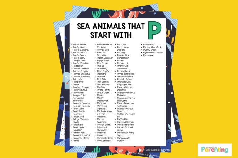 feature image of 33 Sea Animals That Start With P in yellow background