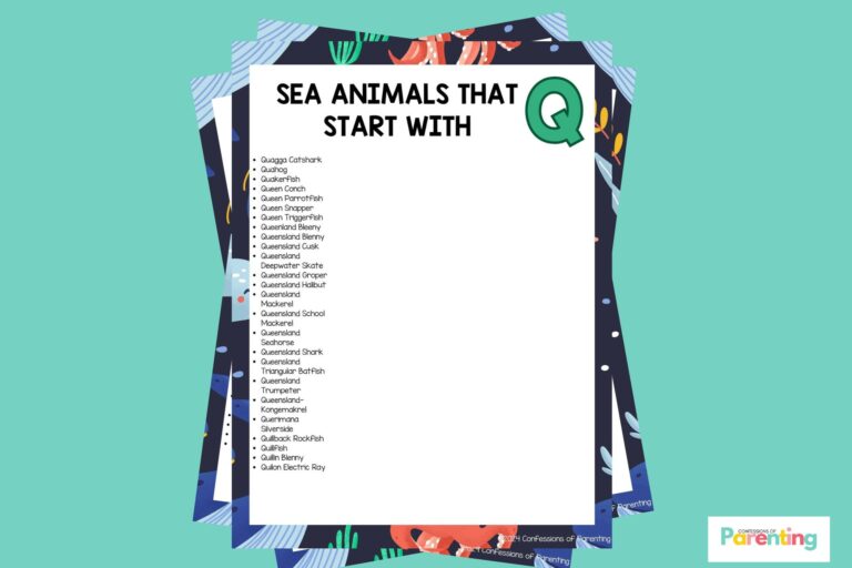 feature image of 25 Sea Animals That Start With Q in teal background