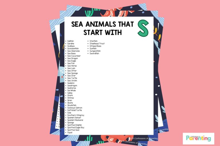 feature image of 44 Sea Animals That Start With S in pink background