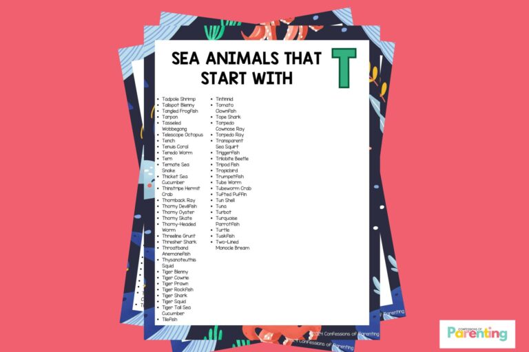 feature image of 51 Sea Animals That Start With T in pink background