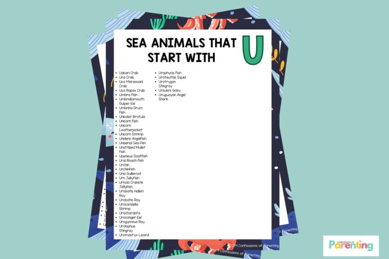 feature image of 34 Sea Animals That Start With U in teal background