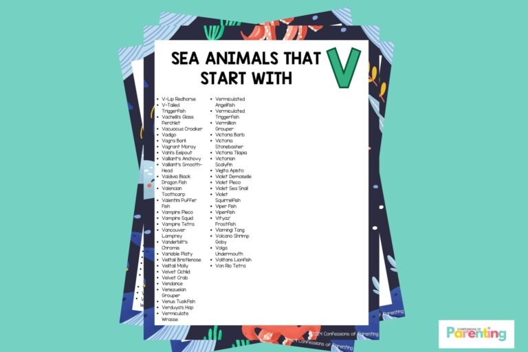 feature image of 47 Sea Animals That Start With V in teal background