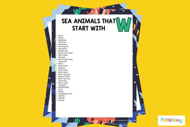 feature image of 24 Sea Animals That Start With W in yellow background
