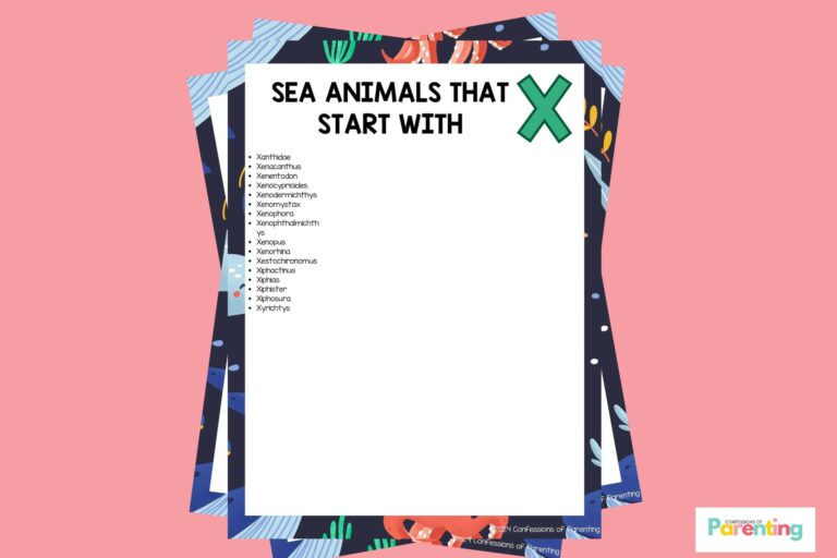 feature image of 16 Sea Animals That Start With X in pink background