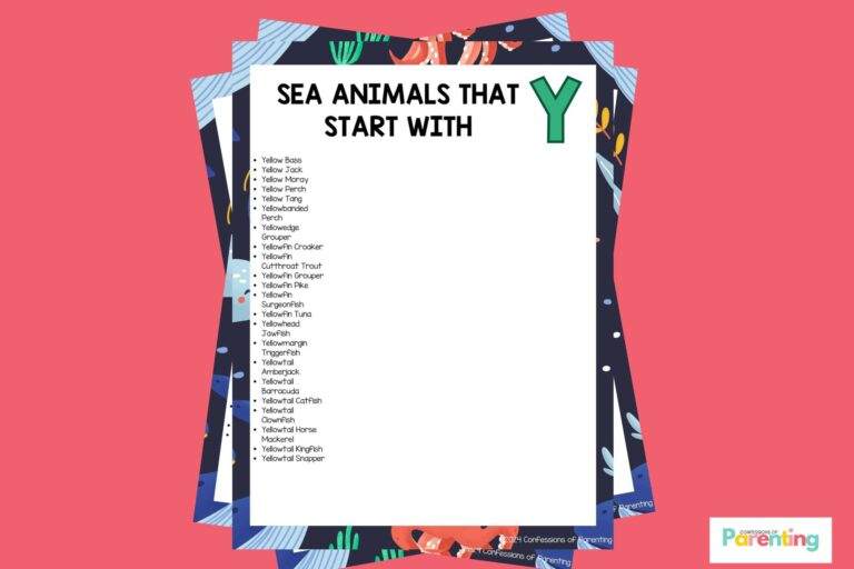 feature image of 22 Sea Animals That Start With Y in pink background