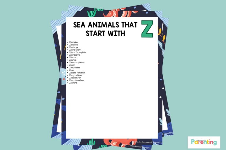 feature image of Sea Animals That Start With Z in teal background