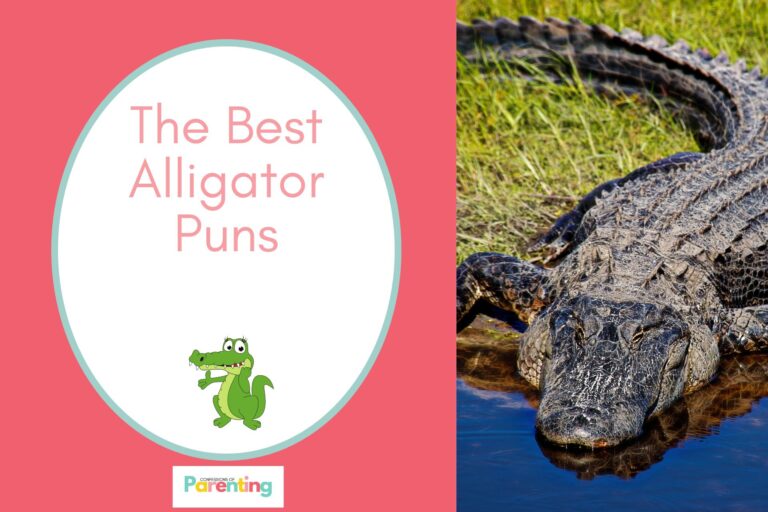 alligator on left side of the image with a graphic of a cute alligator thumbs up with red background and pink writing "the best alligator puns" with a white oval with a teal border on the right side