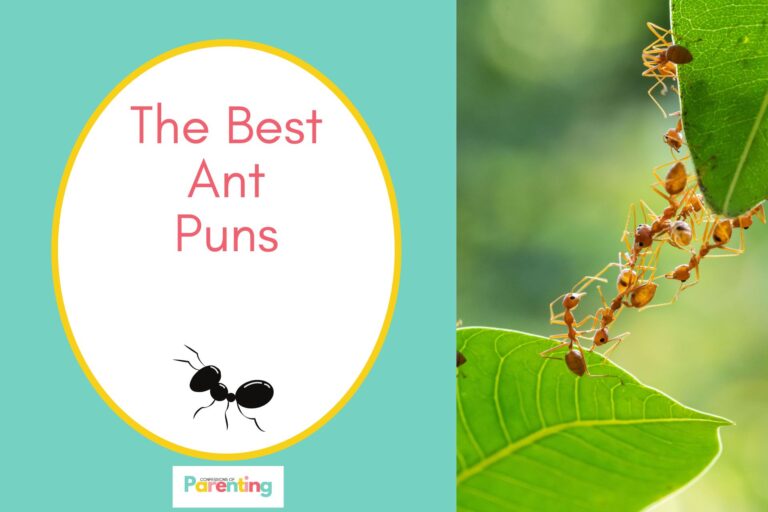 black ant on half the image with a teal background on the left with a white oval with a yellow border with a pink writing "the best ant puns" and red ants team work on the right side