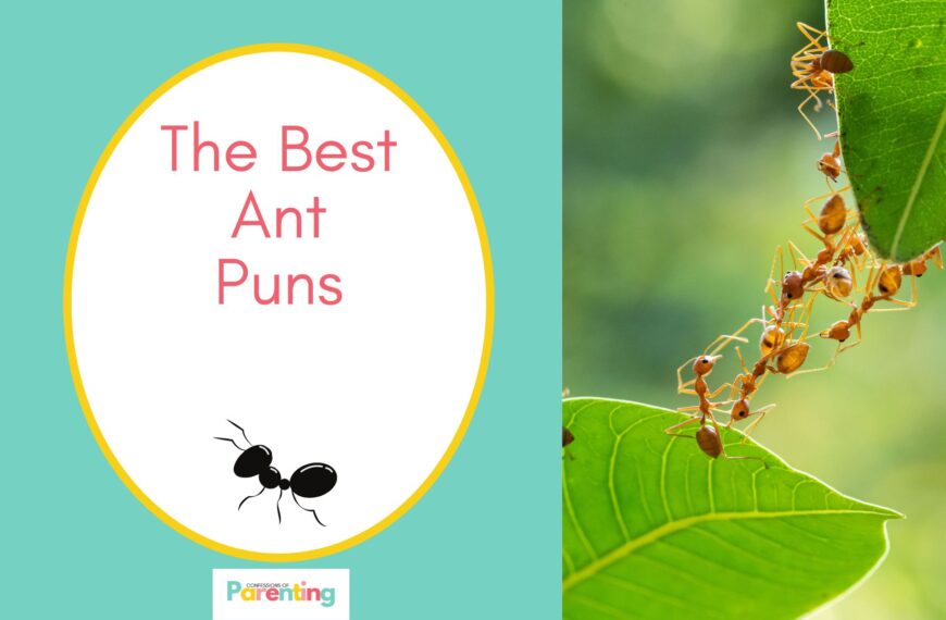 The Best Jokes, Puns, and Riddles