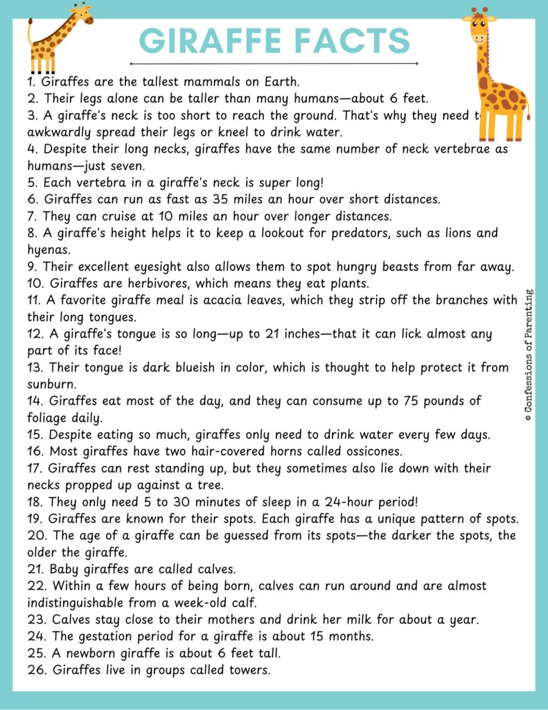 list Giraffe facts with blue border