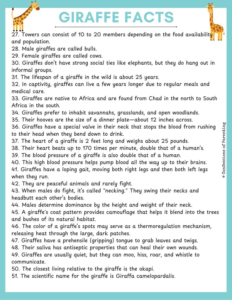 list Giraffe facts with blue border
