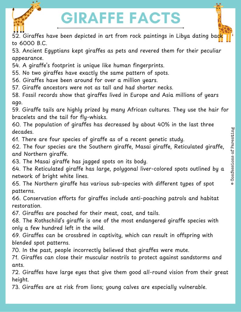 list Giraffe facts with blue border