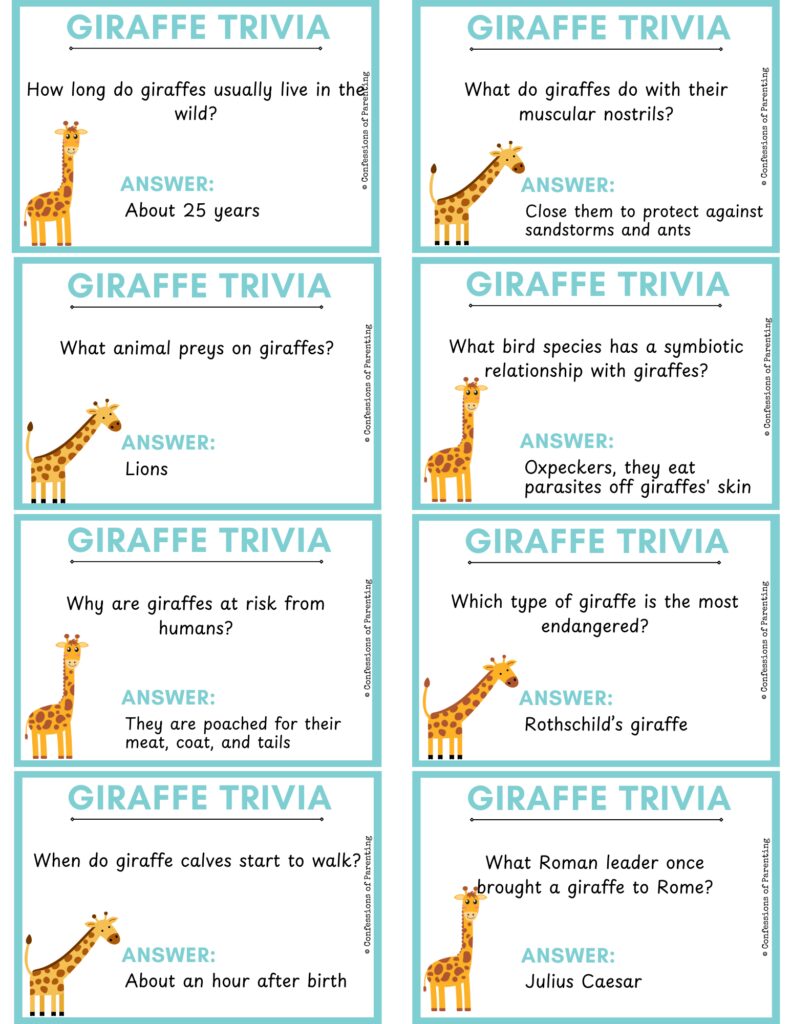 8 giraffe trivia cards with blue borders PDF