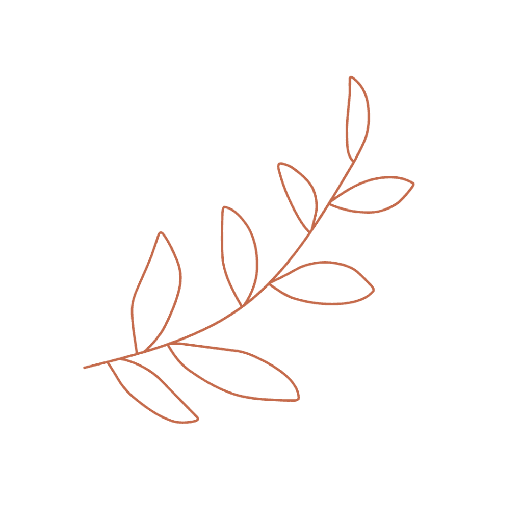 terracota olive leaf